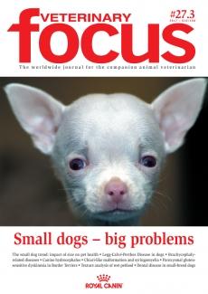Small Dogs – Big Problems - Veterinary Focus - Vol. 27(3) - Nov. 2017