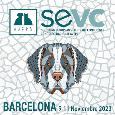 AVEPA - SEVC Conference