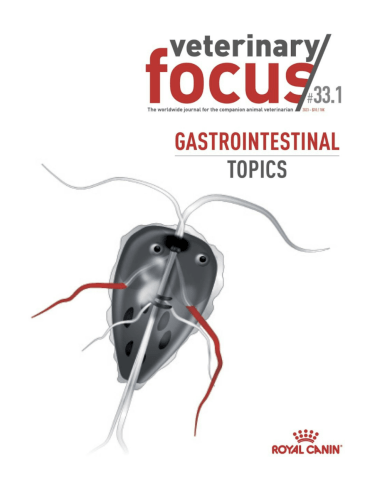 vet-focus-331-gastroinstestinal