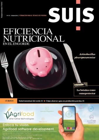 Eficiencia nutricional en el engorde - Suis - N°121, Oct. 2015