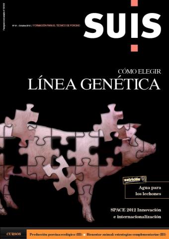 Cómo elegir línea genética - Suis - N°91, Oct. 2012