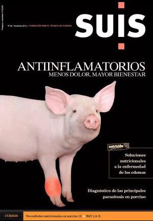 Antinflamatorios: menos dolor, mayor bienestar - Suis - N°92, Nov. 2012