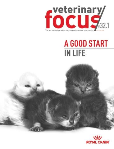 vet-focus-321-a-good-start-in-life.jpeg