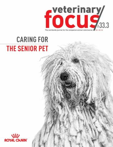 vet focus journal 333 caring for the senior pet