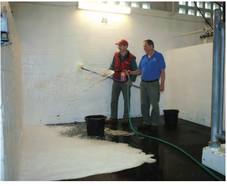 Fig. 1. The Cornell University Barn Crew are cleaning and disinfecting a stall