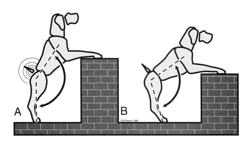 The stand test is performed by picking up the front legs of a standing dog