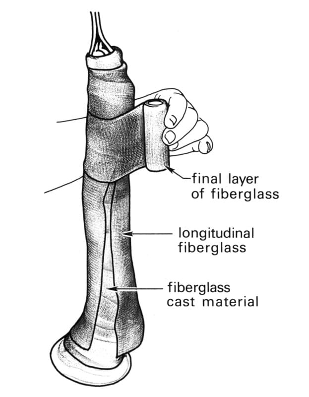 Figure 64-11. Longitudinal splints of cast material are applied cranially and caudally