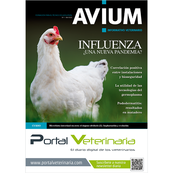 Avium: el único programa de formación para técnicos de avicultura