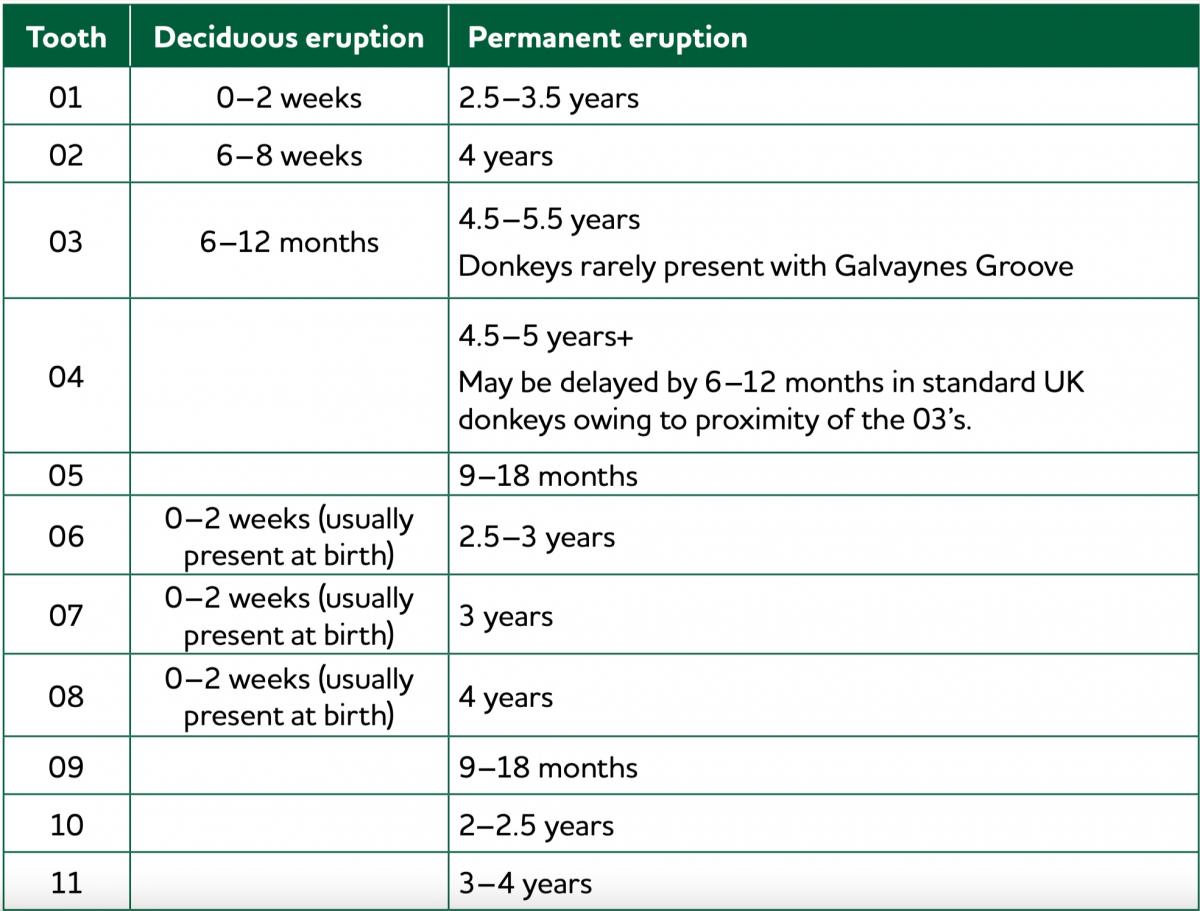 Table showing typical eruption pattern and timescales in the donkey.