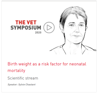 Birth weight as a risk factor for neonatal mortality Vet Symposium