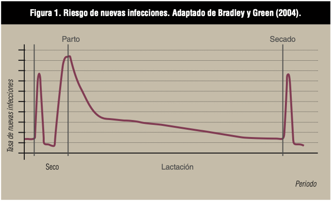 Figura 1. Riesgo de nuevas infecciones. Adaptado de Bradley y Green (2004)