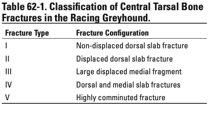 Table 62-1. Classification of Central Tarsal Bone Fractures in the Racing Greyhound