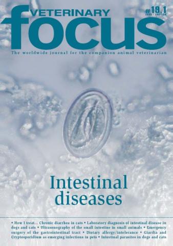 Intestinal Diseases - Veterinary Focus - Vol. 19(1) - Feb. 2009