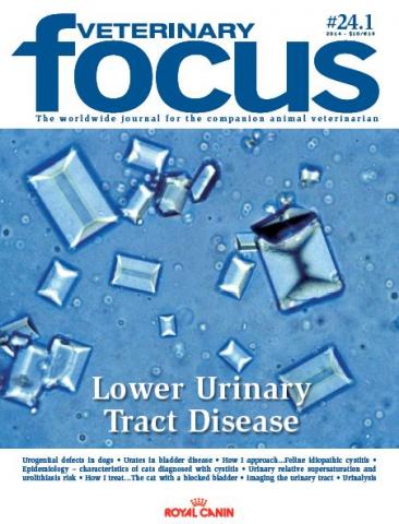 Lower Urinary Tract Disease - Veterinary Focus - Vol. 24(1) - Mar. 2014