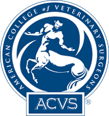 ACVS - American College of Veterinary Surgeons