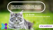 Feline-Cardiomyopathy vtx cpd