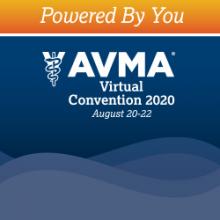 AVMA 2020 Logo