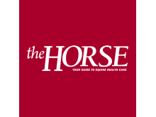 The Horse Logo