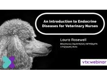 An Introduction to Endocrine Diseases for Veterinary Nurses VTX