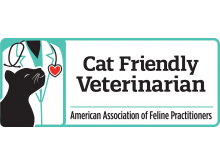 Cat Friendly Veterinarian Certificate Program 