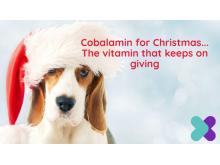 Cobalamin for Christmas… The vitamin that keeps on giving VTX