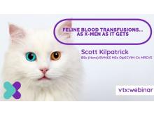 FREE-Feline-Blood-Transfusion-Webinar VTX cpd