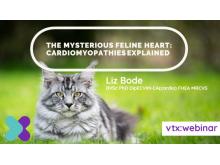 Feline-Cardiomyopathy vtx cpd