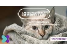 Gastroprotectant-use-in-dogs-cats vtx cpd 