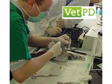 VetPD Avian Soft Tissue Surgery