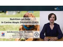 VETtube L’alimentation peut vous aider en cas de dermatite atopique canine (Vidéo anglaise, sous-titrée en français)