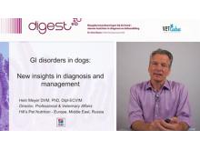 vettube GI disorders in dogs – Does ‘stress colitis’ really exist?