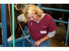 CSU Equine Reproduction Laboratory