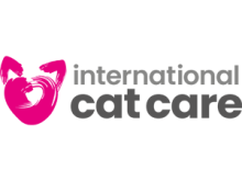 international cate care logo