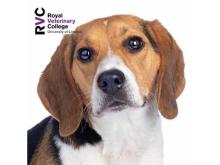 Assessing emotional health in dogs and cats
