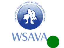 WSAVA - How can I get proficient at ultrasound-guided fine needle aspiration?