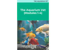 The Aquarium Vet: Modules 1 - 4 Package