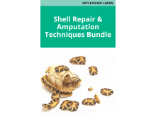 Shell Repair and Amputation Techniques Bundle