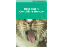 Respiratory Conditions Bundle (Feline)