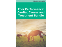 Poor Performance: Cardiac Causes and Treatment Bundle