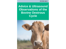 Advice and Ultrasound Observations of the Bovine Oestrous Cycle